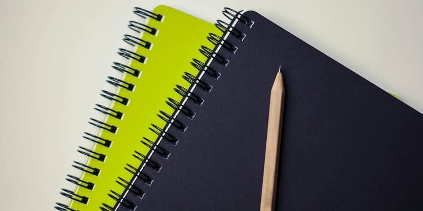 Dynasty Fantasy startup draft notebooks